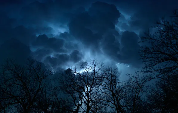 Picture the storm, the sky, clouds, trees, night, clouds, nature, lightning, USA, Dallas