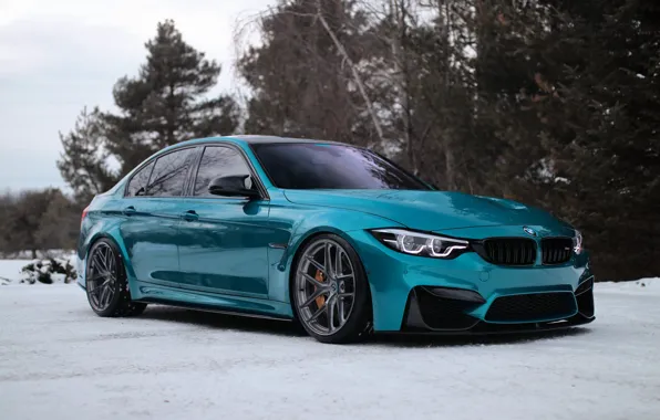 Picture BMW, Blue, Winter, Snow, F80, Adaptive LED