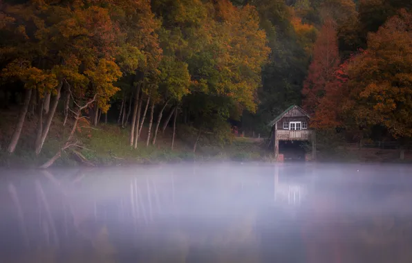 Picture autumn, forest, trees, fog, lake, house, pond, reflection, shore, foliage, morning, haze, house, pond, crown