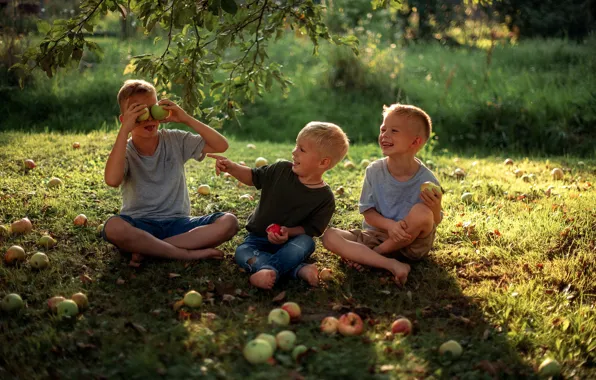 Picture summer, joy, happiness, nature, children, childhood, apples, boys, boys, Мария Круглова