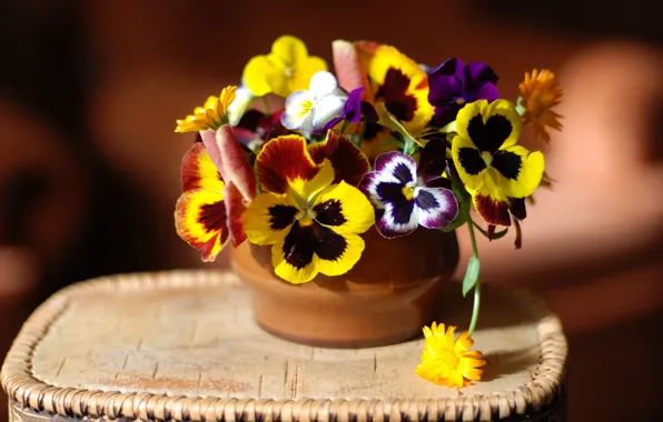Picture flowers, bright, bouquet, yellow, purple, white, Pansy, different, bokeh, tuesok, viola