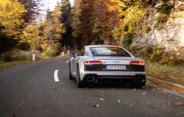 Picture autumn, Audi, speed, supercar, Audi R8, rear view, Coupe, V10, 2020, RWD