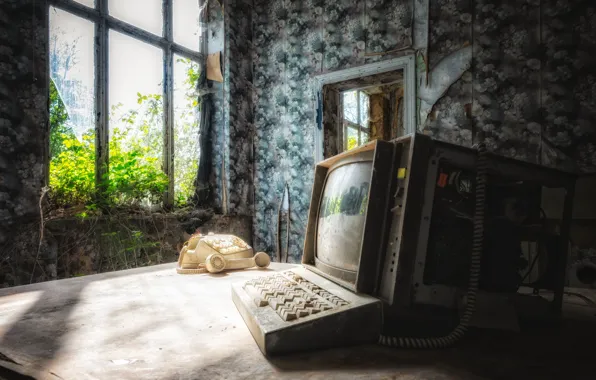 Picture greens, computer, glass, light, old, house, retro, table, room, thickets, Wallpaper, wall, foliage, frame, interior, …