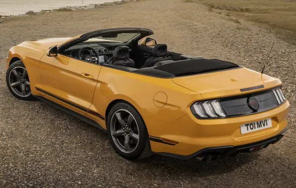 Picture convertible, Ford Mustang, exterior, Convertible, Ford Mustang GT, California Special