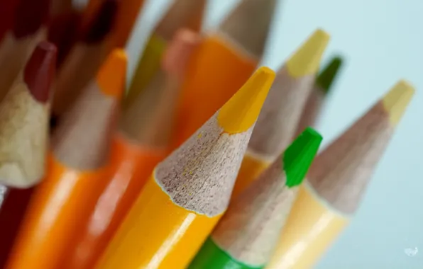 Picture macro, color, pencils