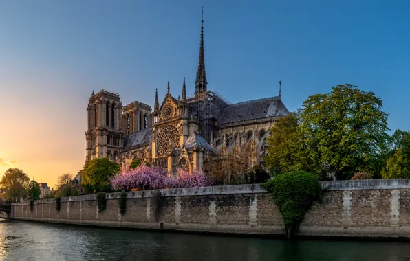 Picture the city, river, France, Paris, the evening, Hay, Cathedral, temple, architecture, Notre Dame de Paris