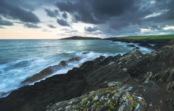 Picture coast, island, Wales, Cardigan Island