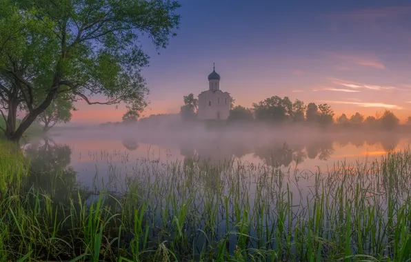 Picture grass, trees, landscape, nature, river, dawn, morning, Church, Bank, Nerl, Vitaly Levykin
