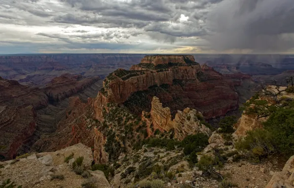 Picture AZ, USA, Grand Canyon, National Park, North Rim