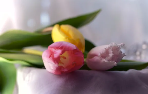 Picture flowers, bouquet, spring, yellow, tulips, pink, light background, buds, bokeh