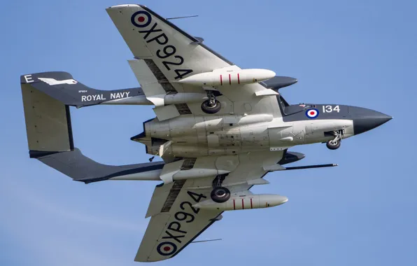 Picture Fighter, RAF, Chassis, Royal Navy, Sea Vixen, de Havilland Aircraft Company, de Havilland DH.110 Sea …