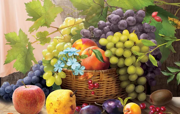 Picture flowers, rendering, grapes, fruit, vine