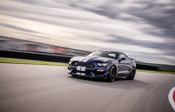Picture speed, Mustang, Ford, Shelby, GT350, 2019