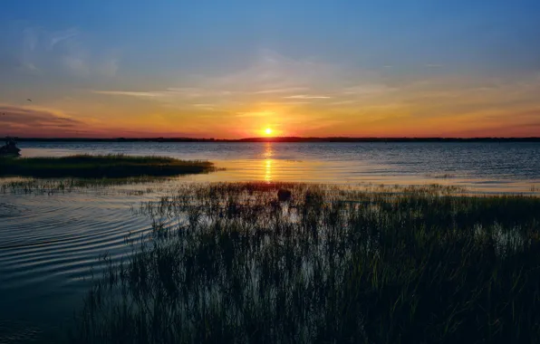 Picture the sky, grass, the sun, sunset, shore, the evening, horizon, pond