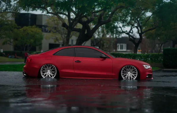 Picture Audi, Red, Water, Rain, Side, Road, Audi S5, Wheels