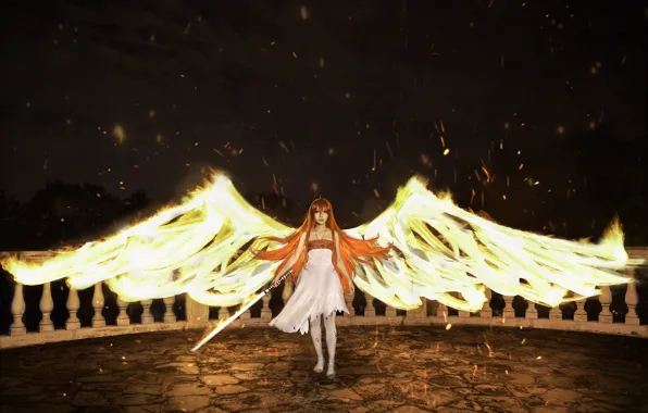 Picture look, girl, face, fire, flame, wings, sword