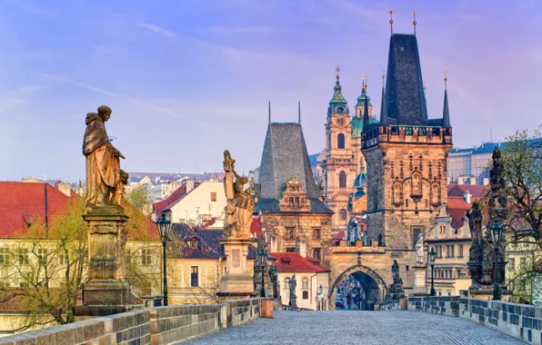 Picture Prague, Czech Republic, Cathedral, sculpture, Charles bridge, Prague castle