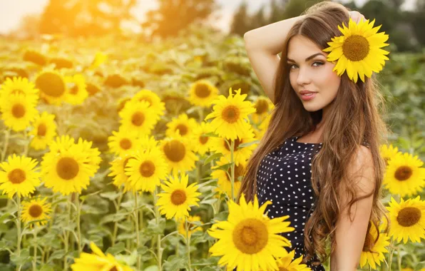 Picture field, summer, girl, sunflowers, nature, pose, portrait, dress, brown hair, Sergejs Rahunoks