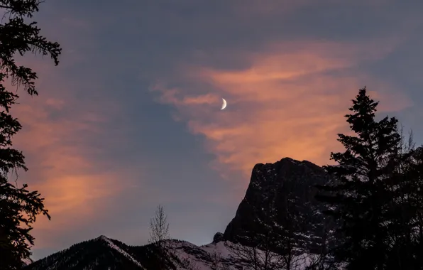 Picture winter, the sky, clouds, snow, trees, sunset, mountains, nature, the moon, the evening
