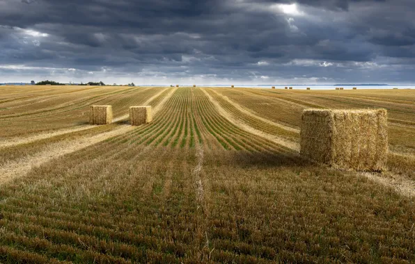 Picture field, autumn, the sky, clouds, strip, overcast, track, dal, space, hay, bales, straw, the end …