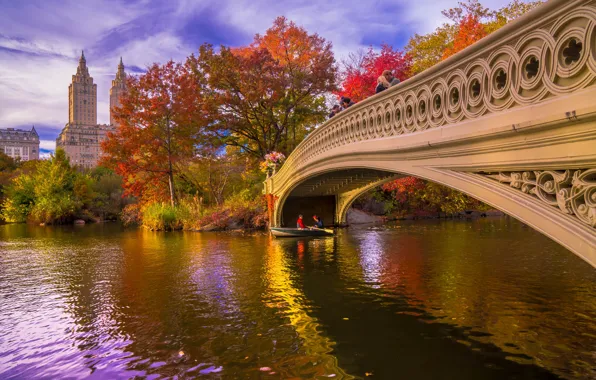 Picture autumn, trees, bridge, nature, the city, pond, boat, New York, USA, Central Park