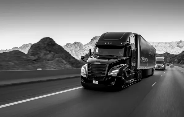 Picture black, track, Freightliner, tractor, bonnet, Cascadia