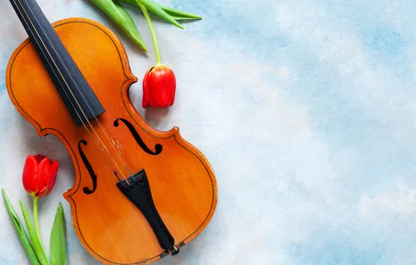 Picture flowers, music, violin, tulips