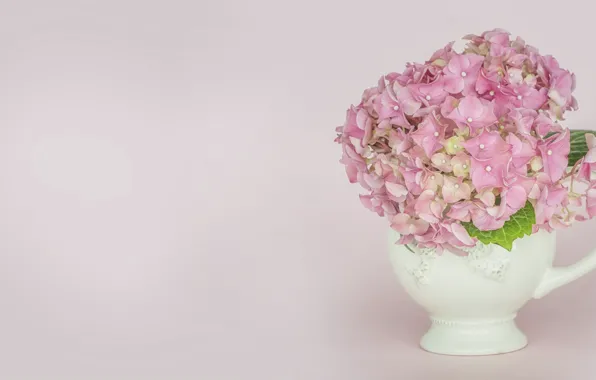 Picture flowers, background, vase, hydrangea, Morganval