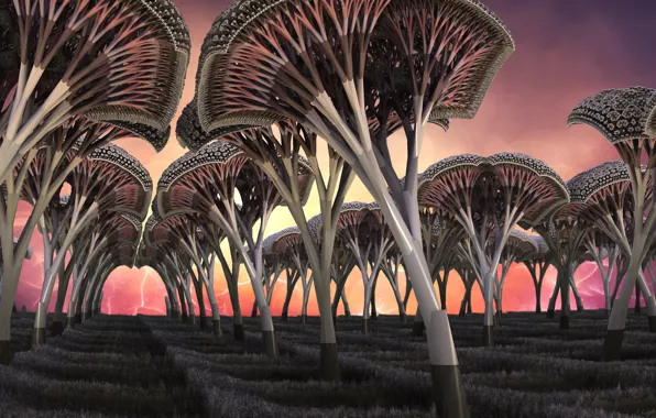Picture trees, mushrooms, trail, horizon, 3D graphics