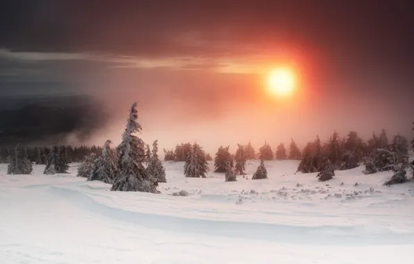 Picture winter, forest, the sky, the sun, clouds, snow, sunset, fog, dawn, ate, the snow, haze, …