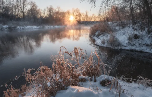 Picture winter, grass, the sun, rays, snow, trees, landscape, nature, river, dawn, ice, morning, Bank, Istra