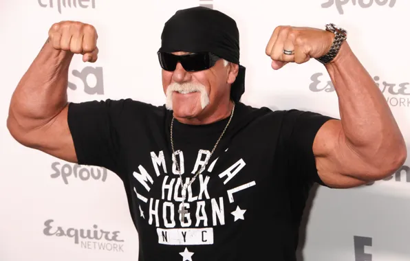 Picture mustache, pose, glasses, Hulk Hogan, actor, actor, photoshoot, wrestler, glasses, pose, biceps, mustache, wrestler, biceps, …