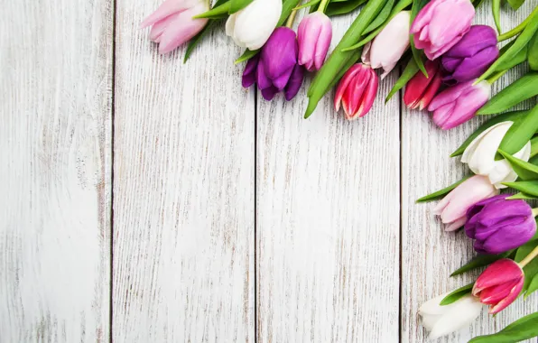 Picture flowers, table, Wallpaper, tulips, buds, wood, composition, Olena Rudo