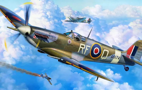 Picture fighter, UK, Poland, Michal Reinis, Raf, Supermarine Spitfire Mk.VC