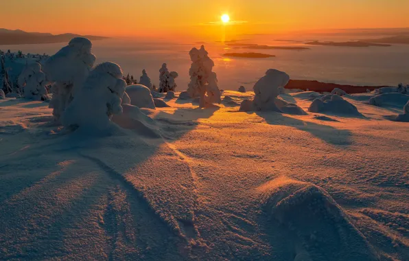 Picture winter, the sun, snow, landscape, sunset, nature, Bay, Christmas trees, The Kola Peninsula, Vladimir Ryabkov, …