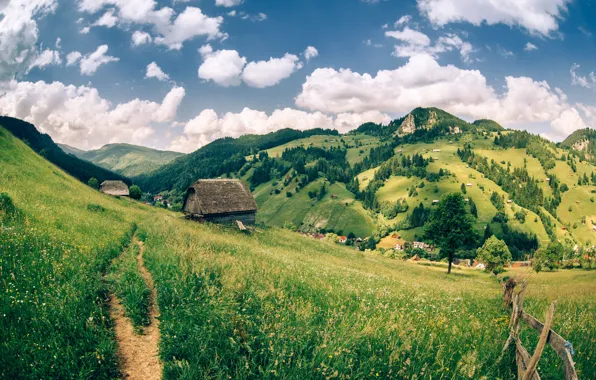 Picture the sky, grass, clouds, trees, mountains, field, slope, houses, forest, meadows, Romania