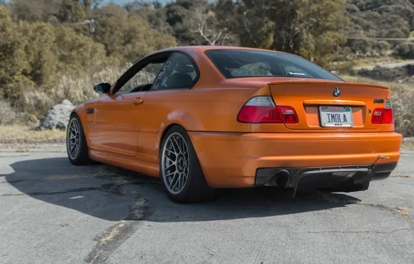 Picture BMW, Orange, E46, Rear View