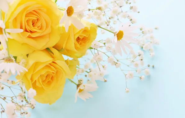 Picture chamomile, bouquet, yellow roses