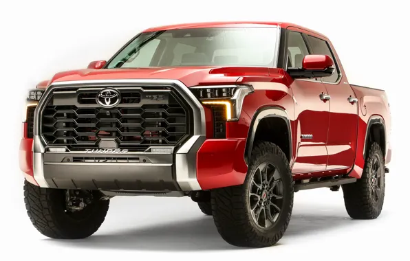 Picture Toyota, Tundra, Accessorized, Lifted, TRD Off Road, Toyota Tundra Lifted and Accessorized