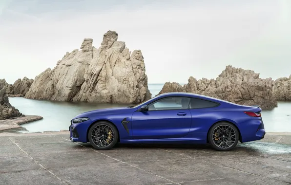 Picture shore, coupe, BMW, profile, 2019, BMW M8, M8, M8 Competition Coupe, M8 Coupe, F92