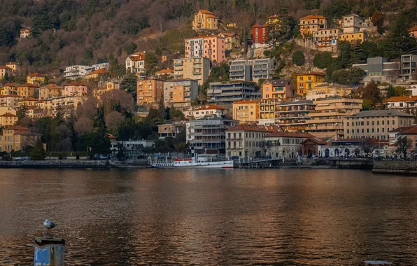 Picture forest, trees, mountains, lake, rocks, shore, home, pier, Italy, Como, Lombardy