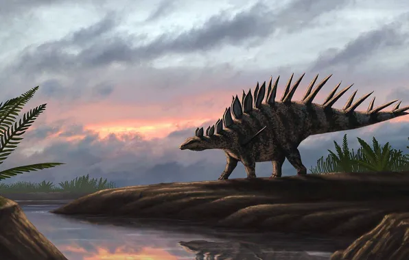 Picture Dinosaur, Древние животные, Вымершие животные, Kentrosaurus aethiopicus, Кентрозавр