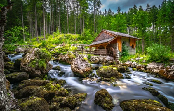 Picture forest, trees, stream, stones, Austria, river, water mill, Austria, Golling an der Salzach, Black Brook …