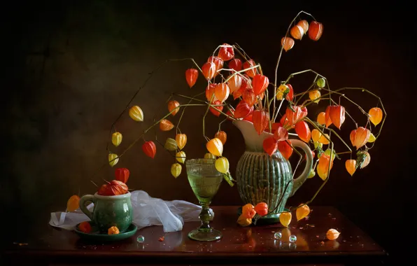 Picture branches, glass, mug, pitcher, still life, lanterns, table, physalis