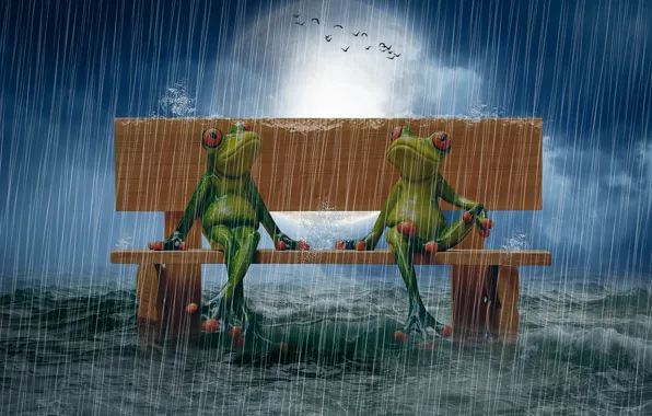 Picture sea, bench, rain, The moon, photo manipulation, puppet, birds in the sky, frogs