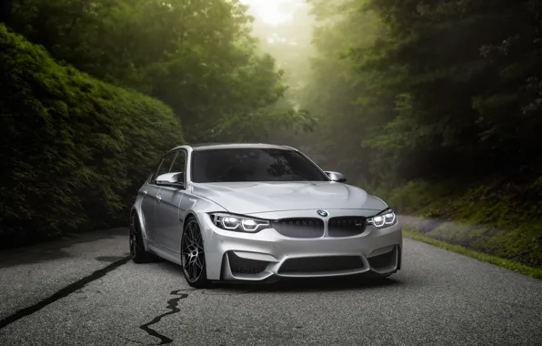 Picture BMW, Road, Silver, Forest, F80
