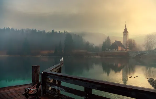 Picture forest, landscape, bridge, nature, fog, lake, morning, pier, Church, Slovenia, Gordeev Edward, Eduard Gordeev, Ed …