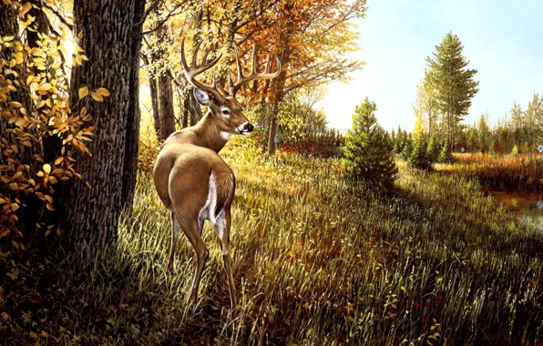 Picture autumn, forest, grass, light, branches, nature, tree, glade, foliage, figure, picture, deer, art, painting, path, …
