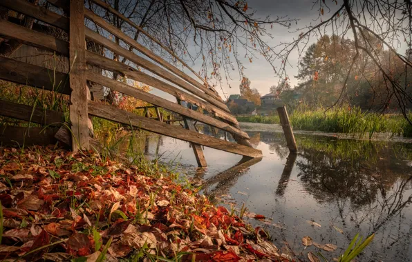 Picture autumn, landscape, nature, the fence, river, Andrei