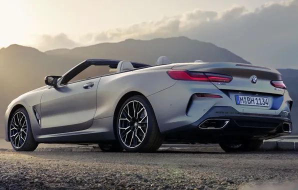 Picture BMW, Convertible, 2022, M850i